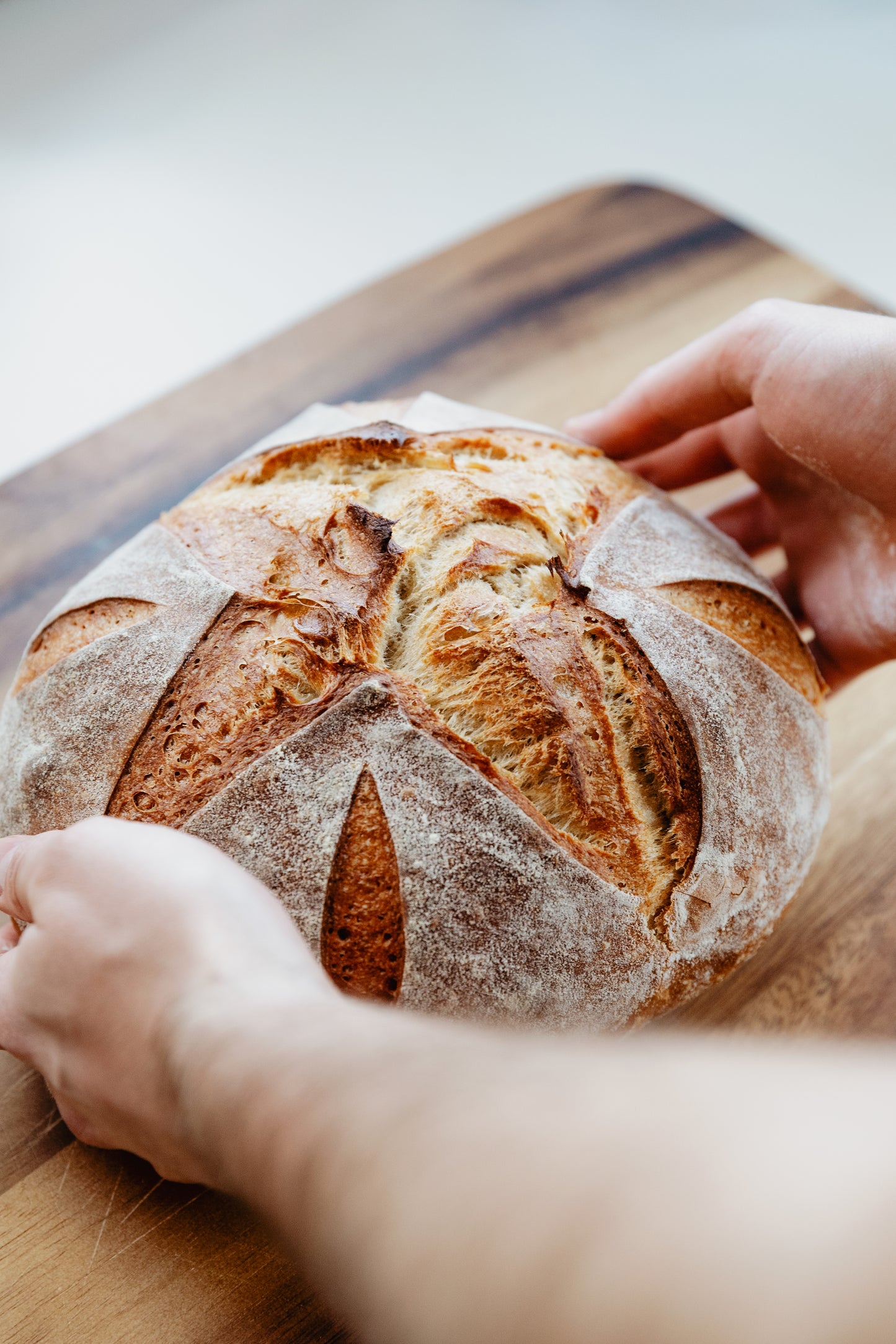 Dutch Chocolate Sourdough Bread  / Pan de Masa Madre con Chocolate Holandes
